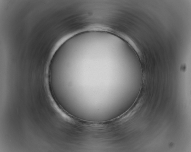 X0000101701387200807101336