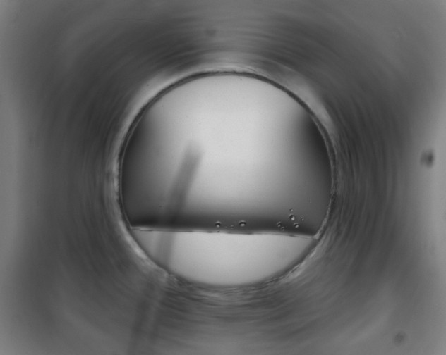 X0000101701388200807101336