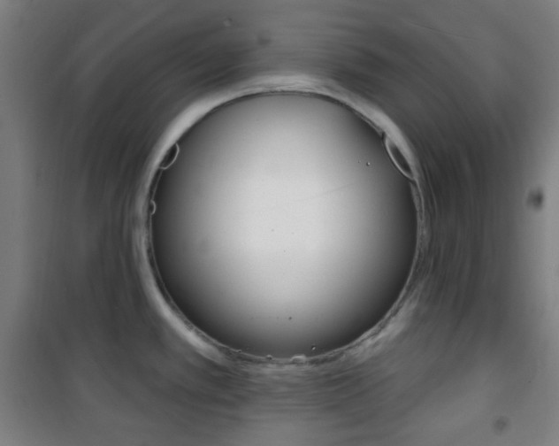 X0000101701389200807101336