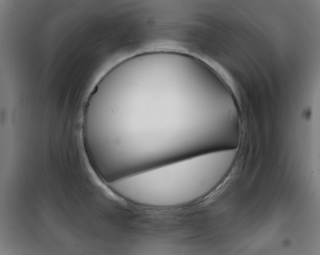 X0000101701390200807101336