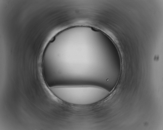 X0000101701392200807101336