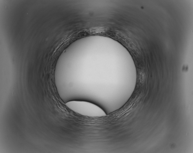 X0000101701393200807101335