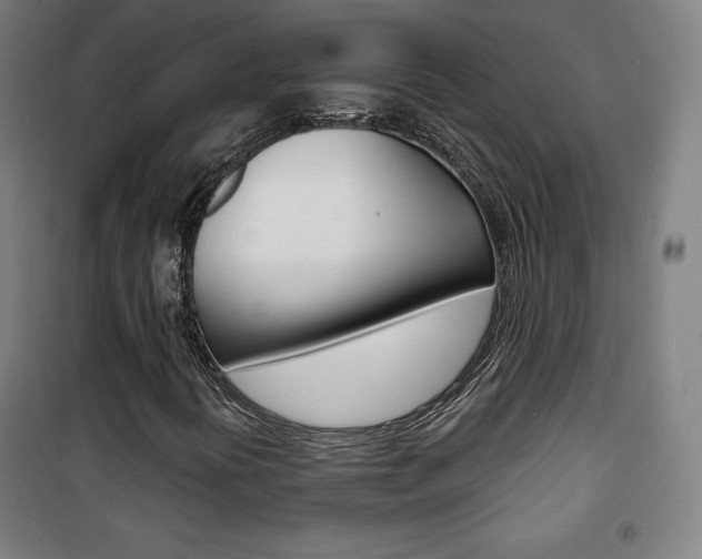 X0000101701394200807101335