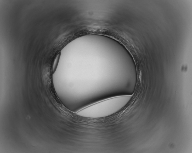 X0000101701396200807101335