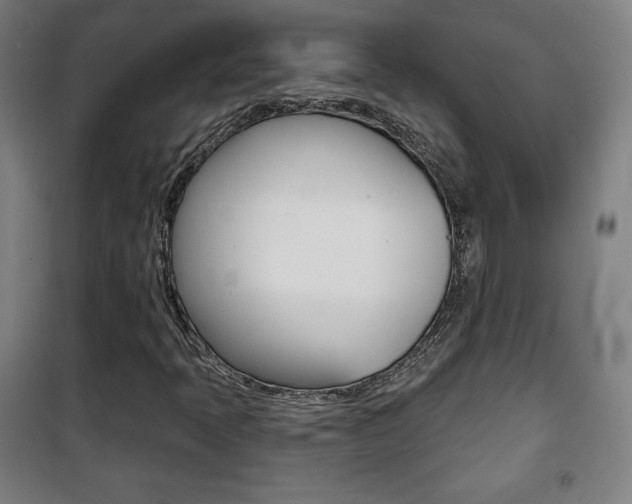 X0000101701397200807101335