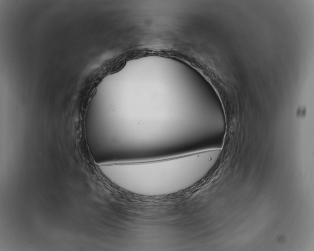 X0000101701398200807101335