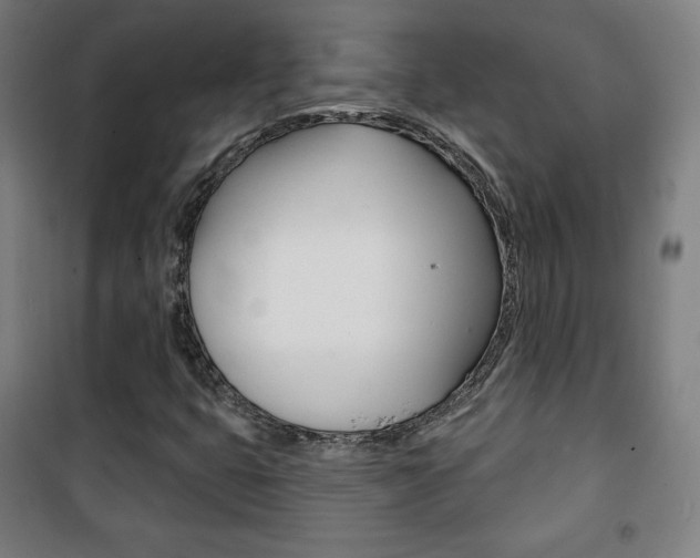 X0000101701399200807101335