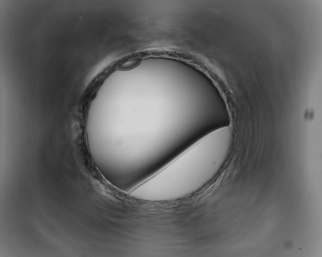 X0000101701400200807101335