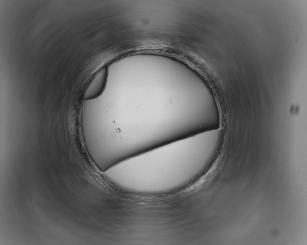 X0000101701401200807101335