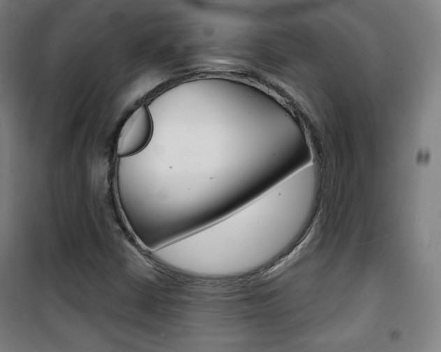 X0000101701402200807101335
