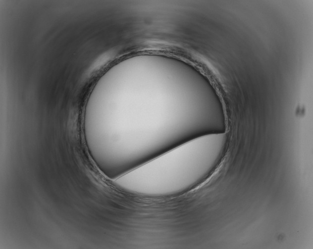 X0000101701403200807101335