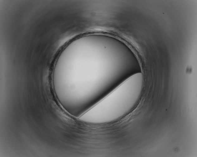 X0000101701404200807101335