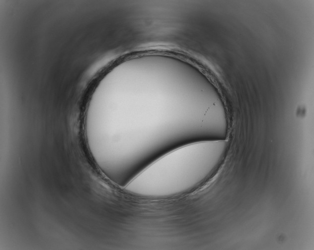 X0000101701406200807101335