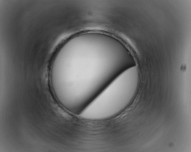 X0000101701408200807101335