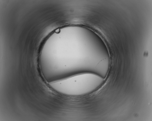 X0000101701410200807101335