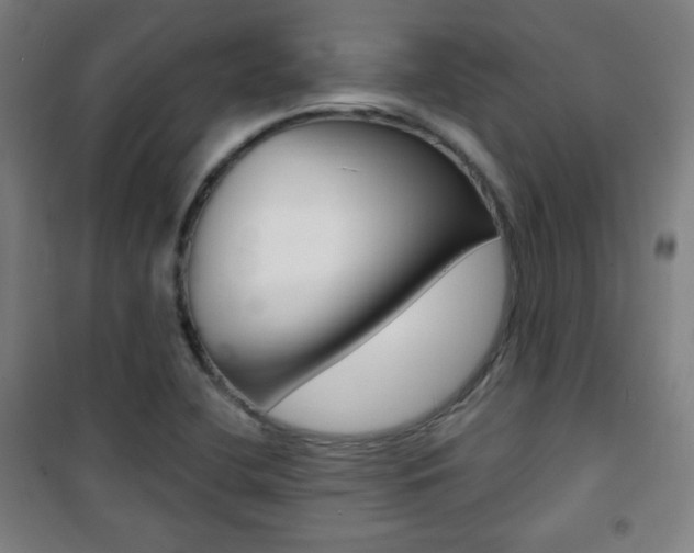 X0000101701412200807101335