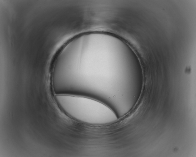 X0000101701414200807101335