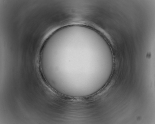 X0000101701415200807101335