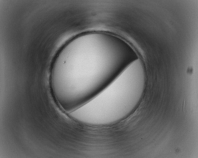 X0000101701416200807101335