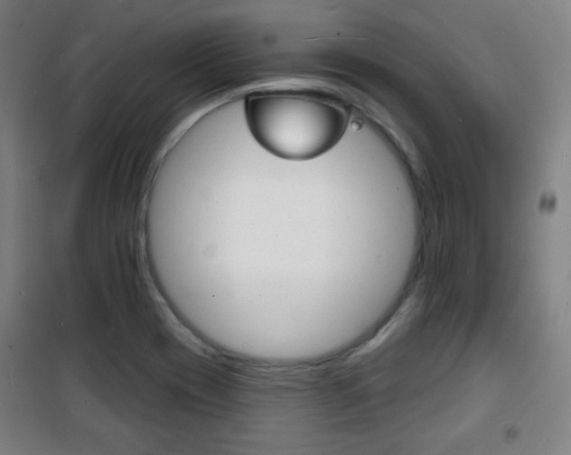 X0000101701417200807101335