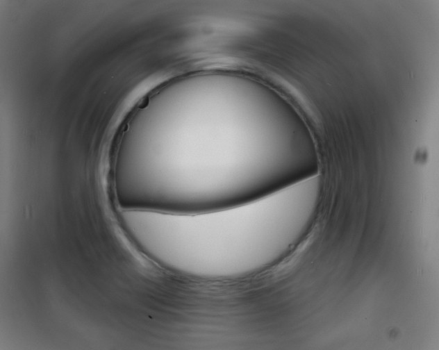 X0000101701418200807101335