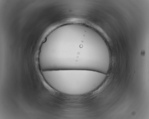 X0000101701421200807101335