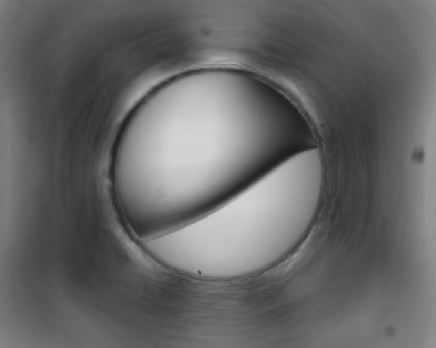 X0000101701422200807101335