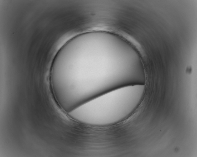X0000101701423200807101335