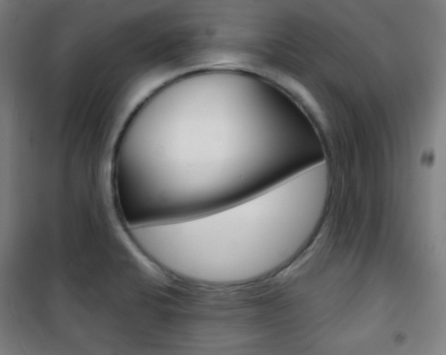 X0000101701424200807101335
