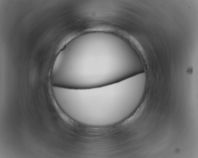 X0000101701425200807101335