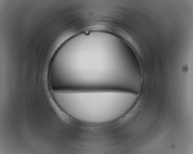 X0000101701426200807101335