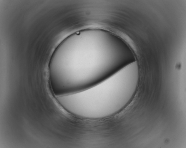 X0000101701428200807101335