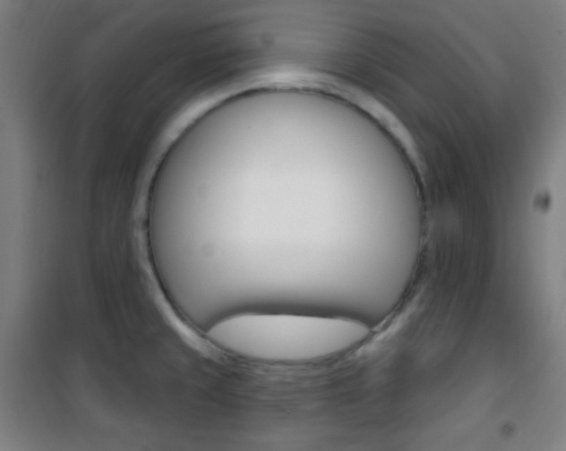 X0000101701429200807101335
