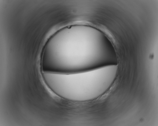 X0000101701430200807101335