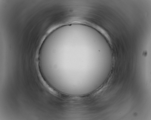X0000101701431200807101335