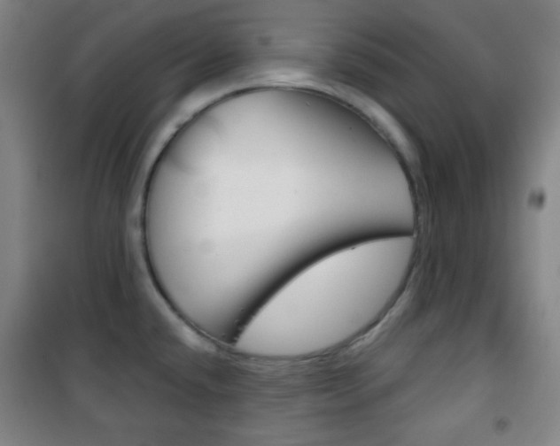 X0000101701432200807101335