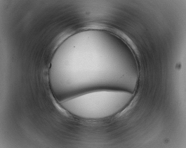 X0000101701433200807101335