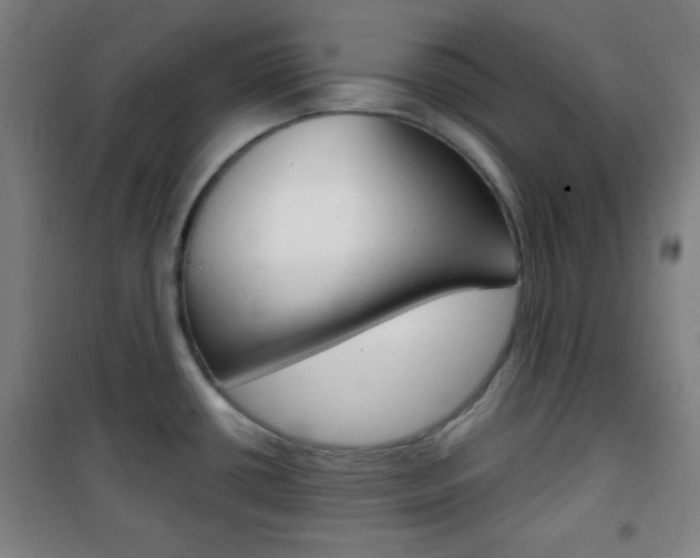 X0000101701434200807101335