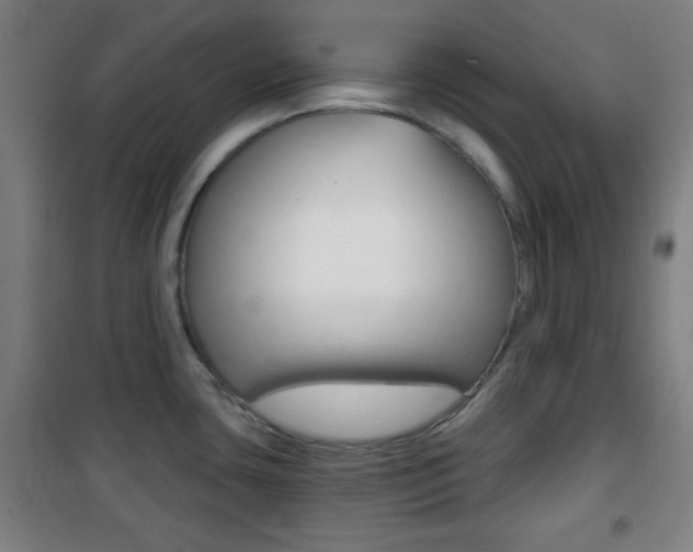 X0000101701435200807101335