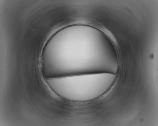 X0000101701436200807101335