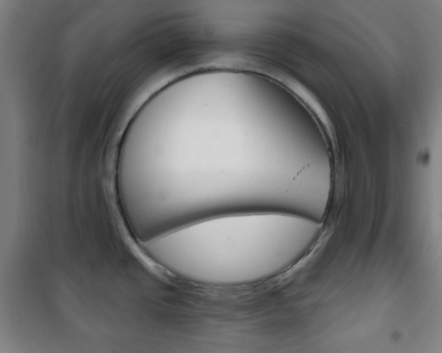 X0000101701437200807101335