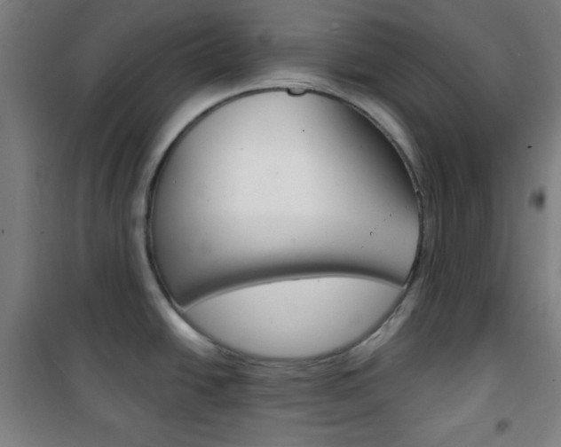 X0000101701438200807101335