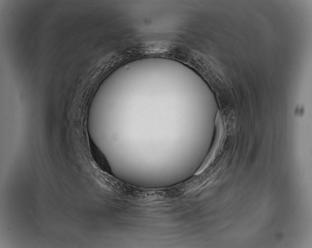 X0000101701441200807101335