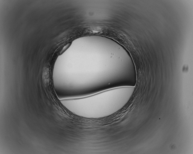 X0000101701442200807101335