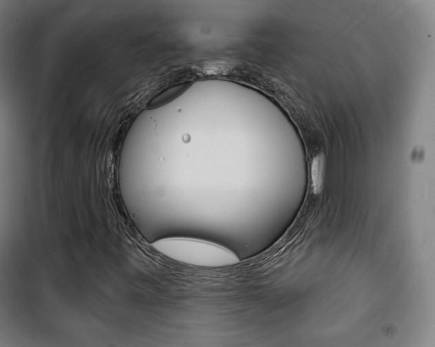 X0000101701443200807101335