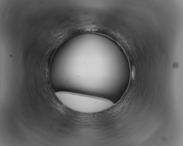 X0000101701444200807101335