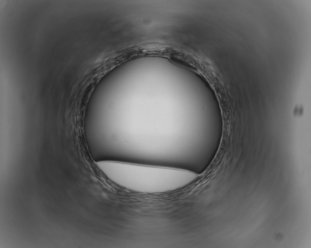 X0000101701445200807101335