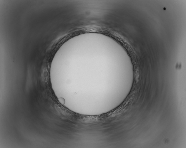 X0000101701446200807101335