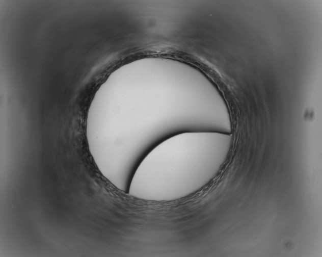 X0000101701447200807101335