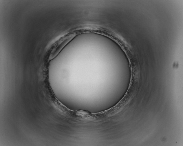 X0000101701448200807101335